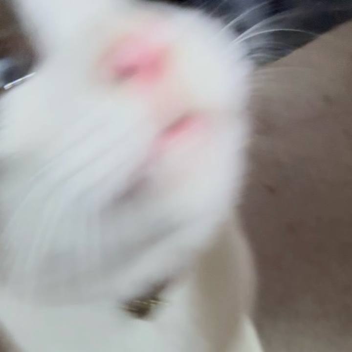 34b469e1 e45c 4b91 8905 097feb4e1a3f 1784297268076