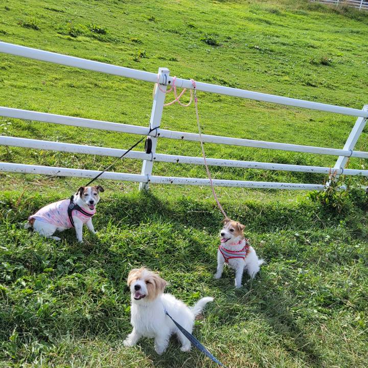 34b4d502 e0de 457e b21b 435528e13be7 1754523306431