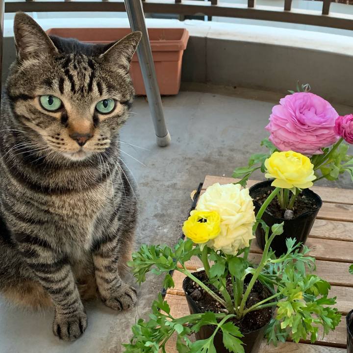 34b4eb48 f758 42f0 9f4f 8e5c2789b13d 1699794191235