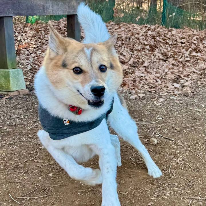 34b4f414 9725 49b0 8357 3005cc1a331c 1770956778369