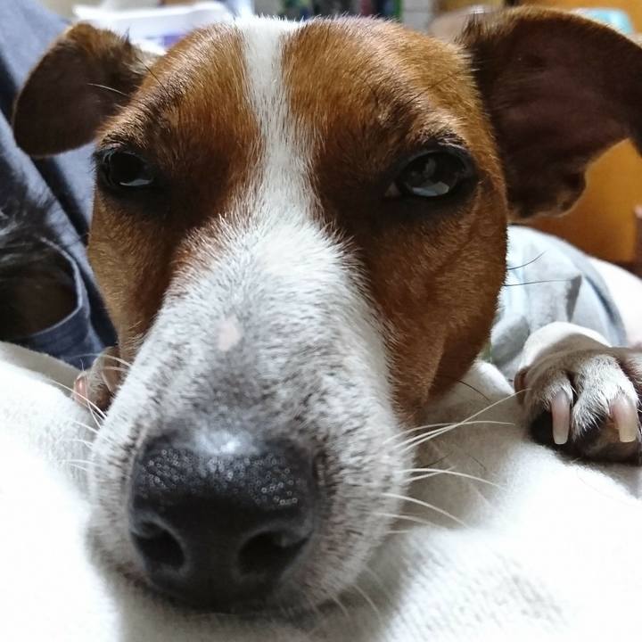 34b51524 df79 48f2 bf3f 82c97a6dc2ac 1568294748382