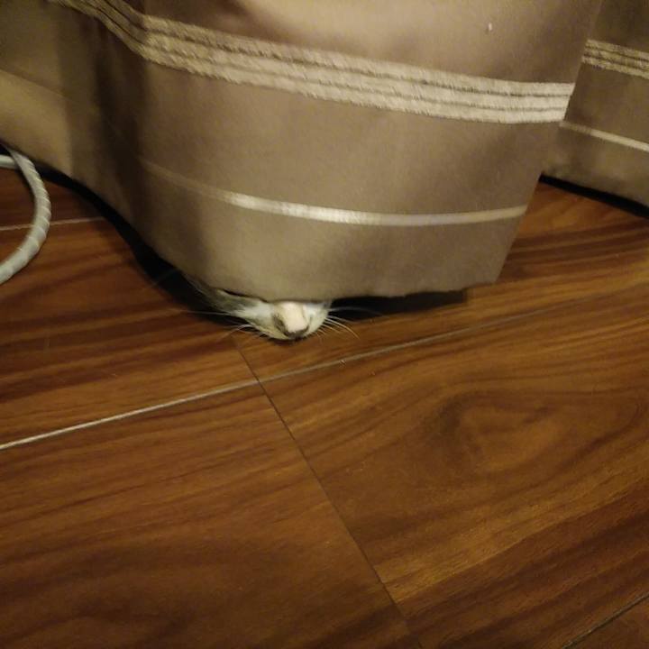 34b563b9 6d6b 4748 87a6 13d4bc7ac55d 1572534981469