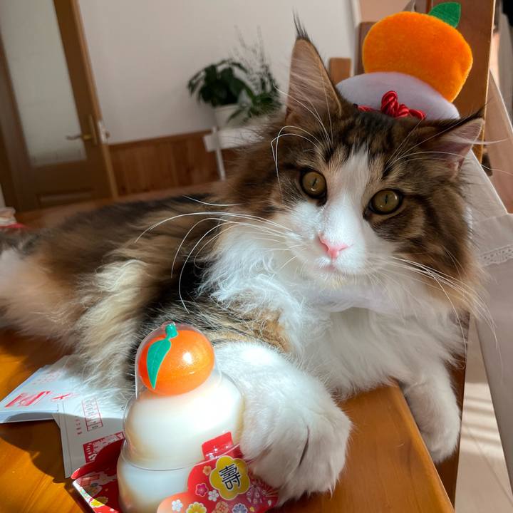 34b56cc3 9ecd 416f 8bd5 ebb6e63cb562 1641006928562