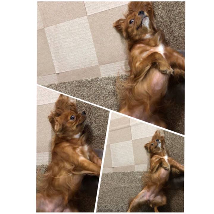 34b5decc 7698 4198 ad44 d23f1be3ab9b 1566038674028