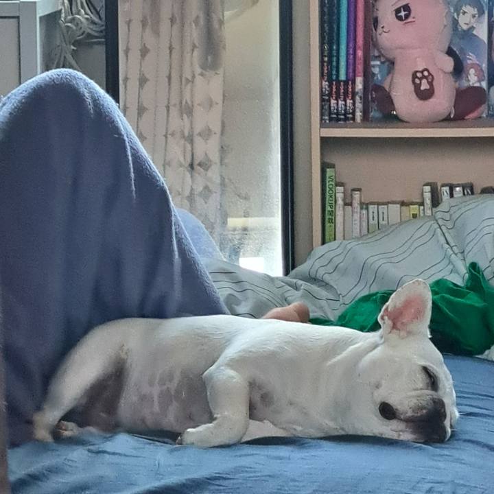 34b5e71d a6a3 4ab8 b7ac 99f035f05cbc 1723333894825