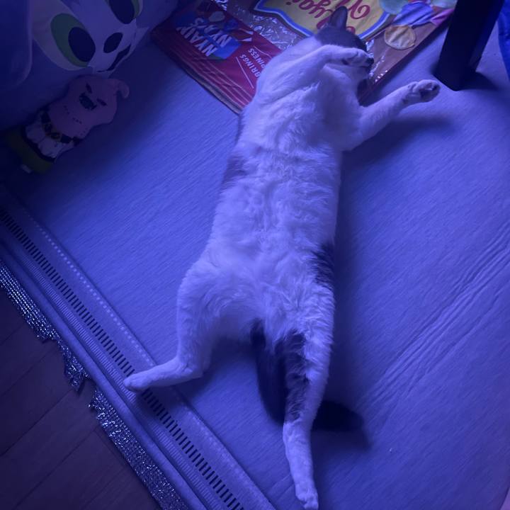 34b60bf4 449a 4576 95ef eb8d85060d65 1754326232029