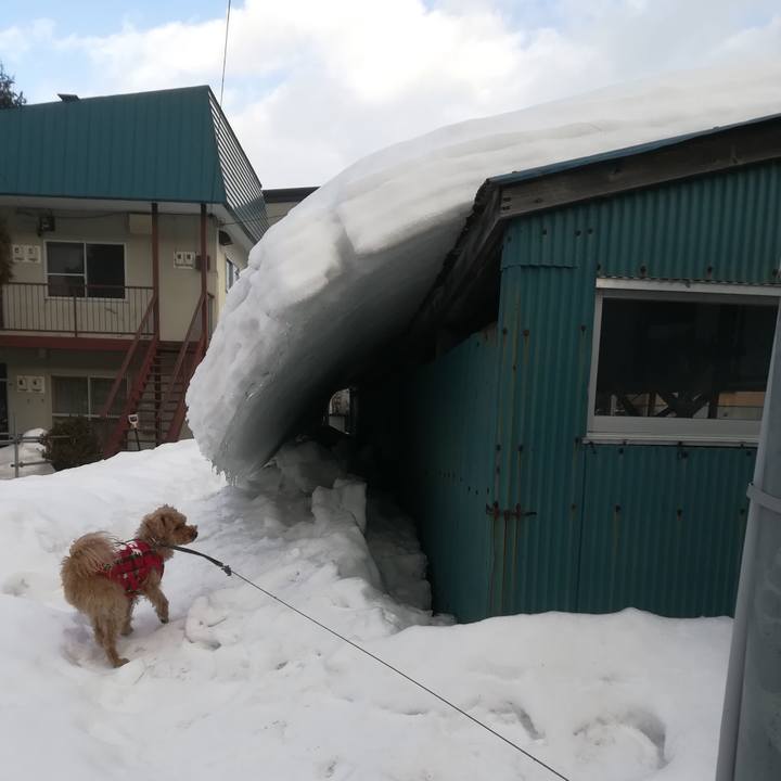 34b62529 c841 4224 8d60 91701d7a45ac 1551513764263