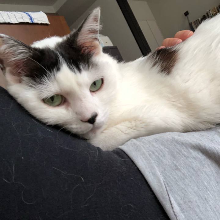 34b63cbf be76 4fae 8feb 942ace59ac8f 1529124729510