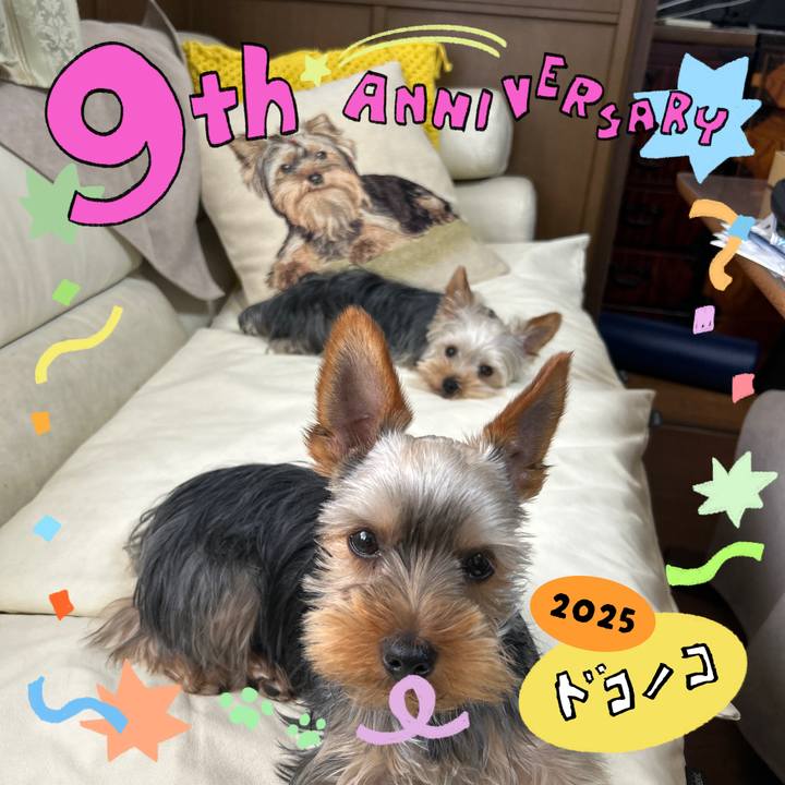 34b63e28 c38b 4696 bd45 c9388d6ab20a 1749339326899