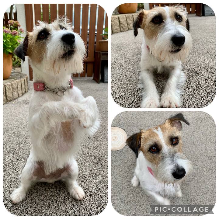 34b6b8a7 8e31 4405 843a bb470c8ee0e3 1656983384331