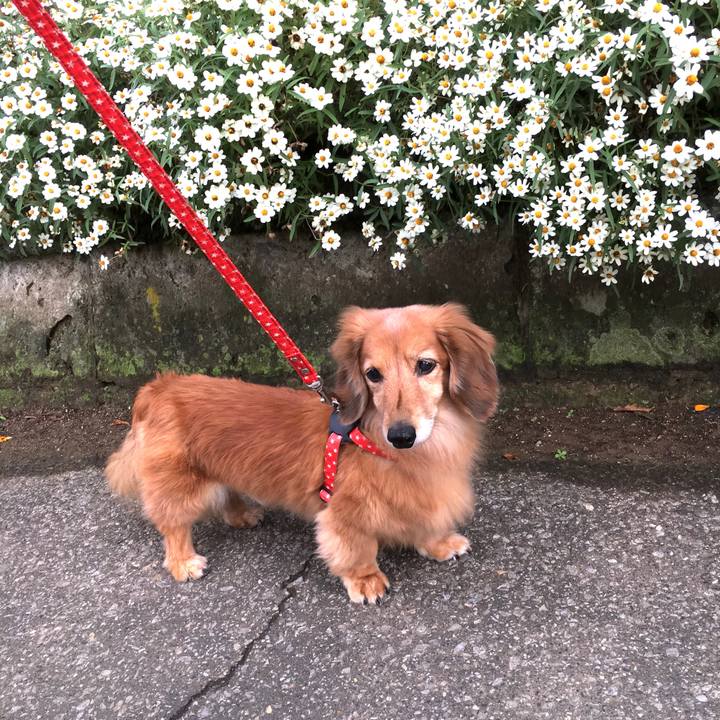 34b6bb19 93da 499c bd8d 4ef6e817e914 1635342264242