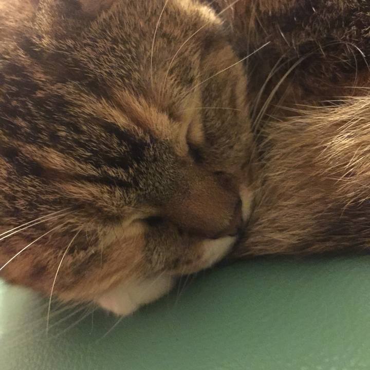 34b6cb17 8b41 49a3 b688 fb06e4ec344e 1571364009016