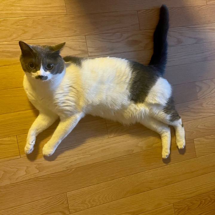 34b6dc32 4b15 4888 a81c a6565ae585be 1689204190133