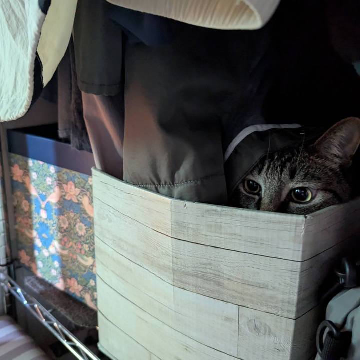 34b6f895 2893 46c6 a0b1 1f8ef41f77ea 1750316785108