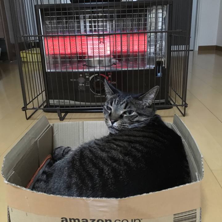 34b73636 145d 4441 a97c 7ed989c181e0 1515887784328