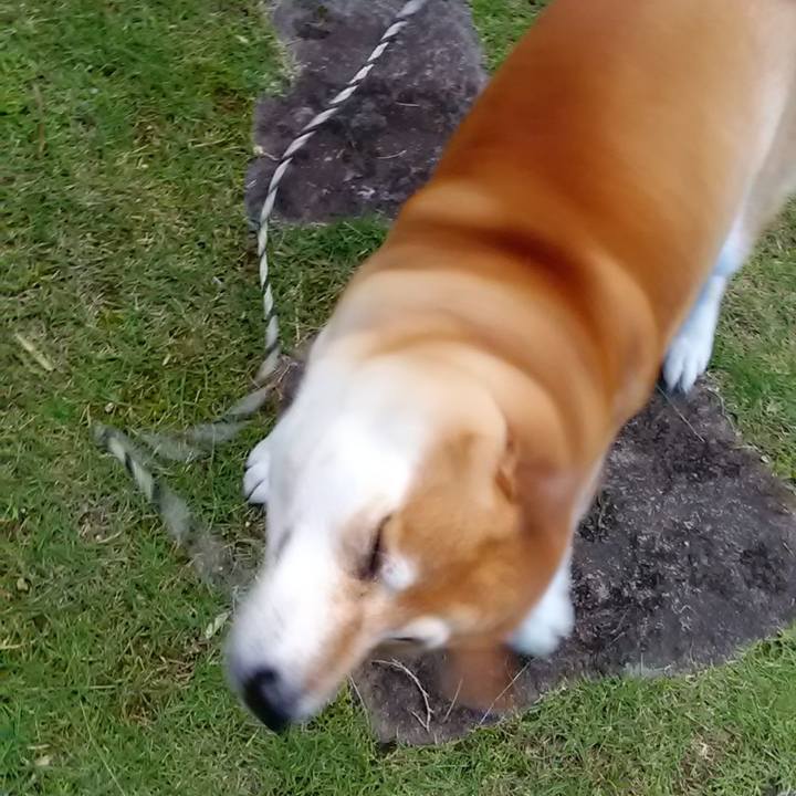 34b73bd6 1dd1 4817 a5ef 2480acec5e63 1592870923970