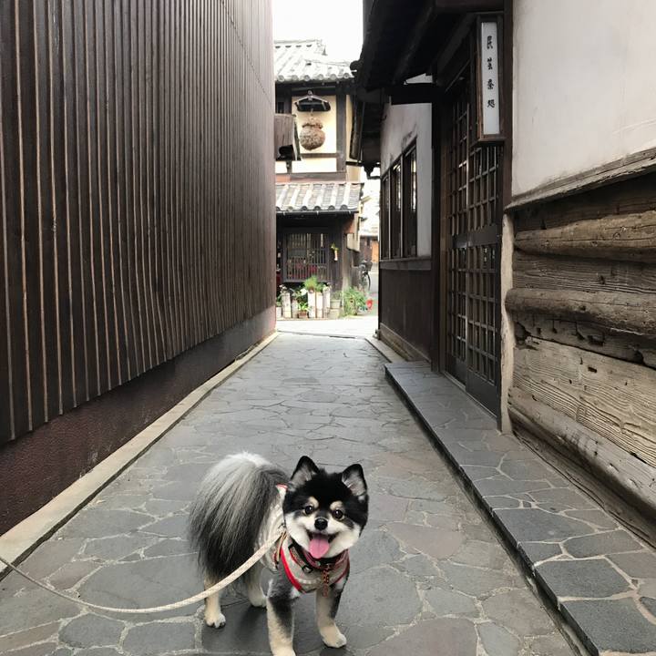 34b73d17 dc18 4357 a6e8 ee156950691d 1542384090132