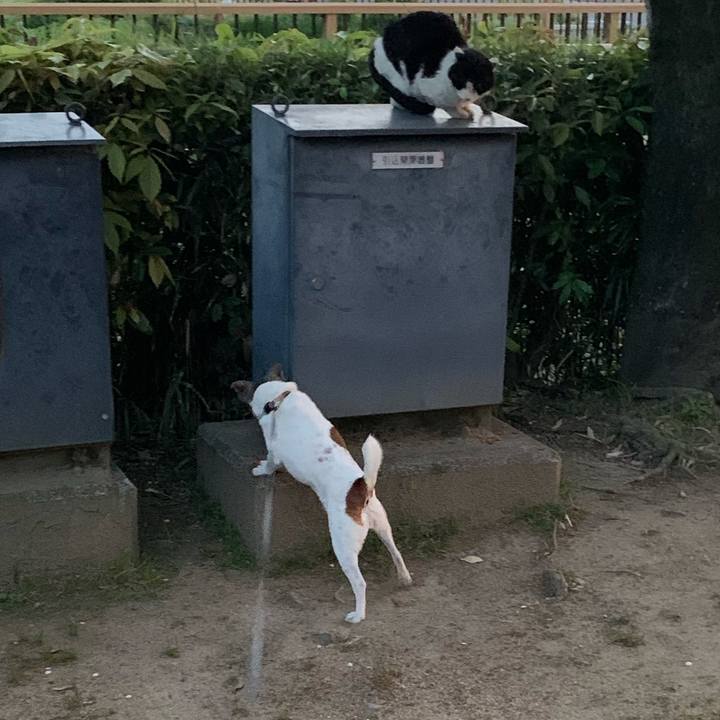 34b78db8 a37e 4a0d 8c49 7ca10b8deae6 1617966302119