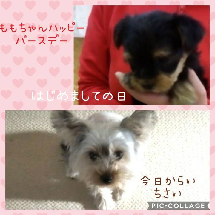 34b7a2ce fb1c 405b 8db9 f3ff6a2f8b2d 1550105358079