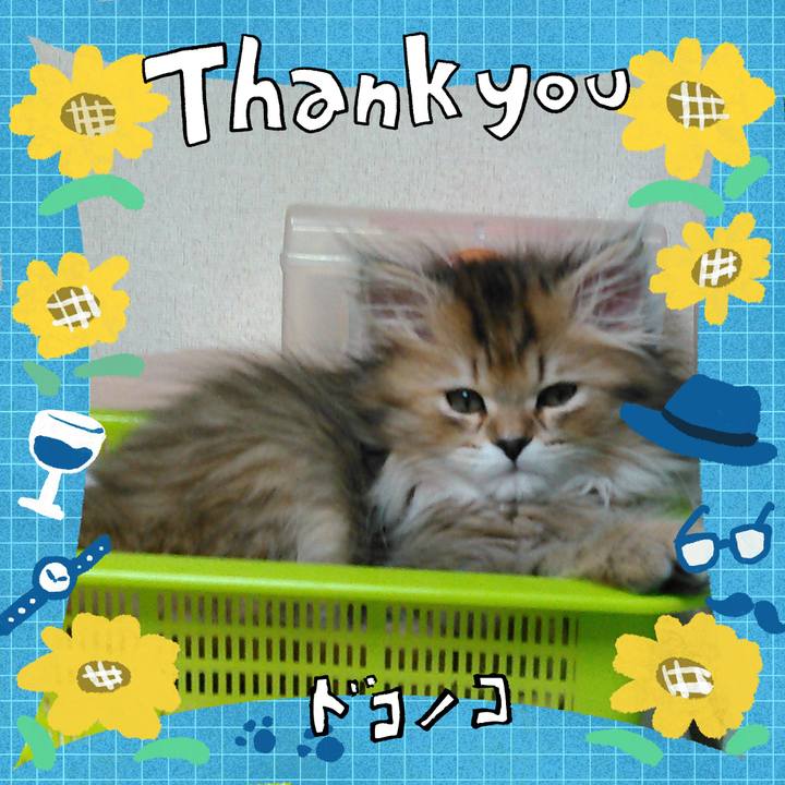 34b819ae 9442 4e62 b3a4 7c36d3a06005 1718541970686