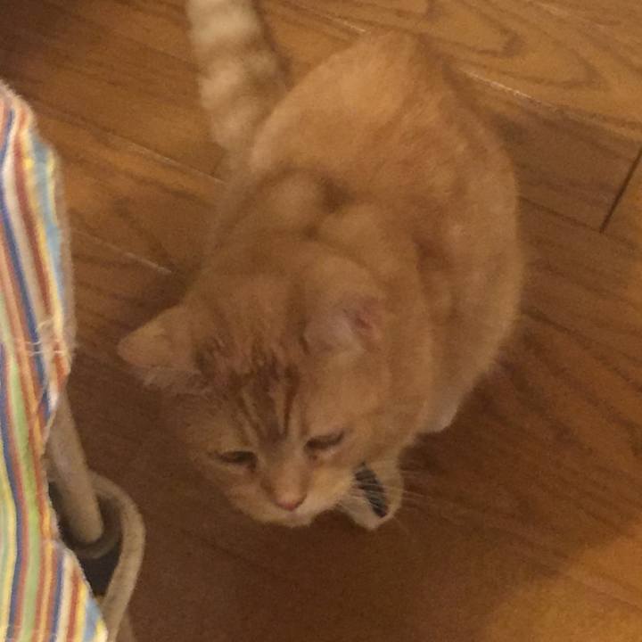 34b81fd7 3cdf 4cfe 8856 a708316cf5f6 1561302518959