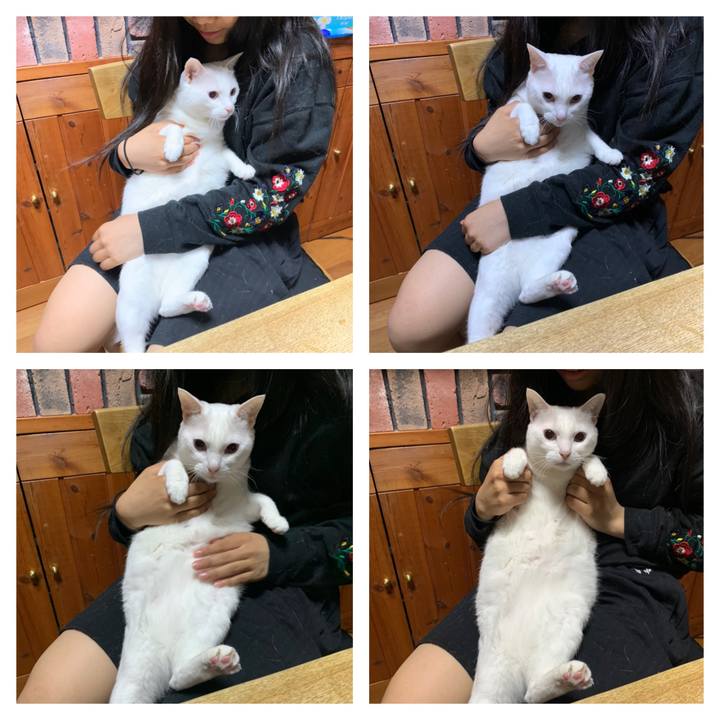 34b827ba fd44 4806 9b5d dea58bf930a0 1616080961787