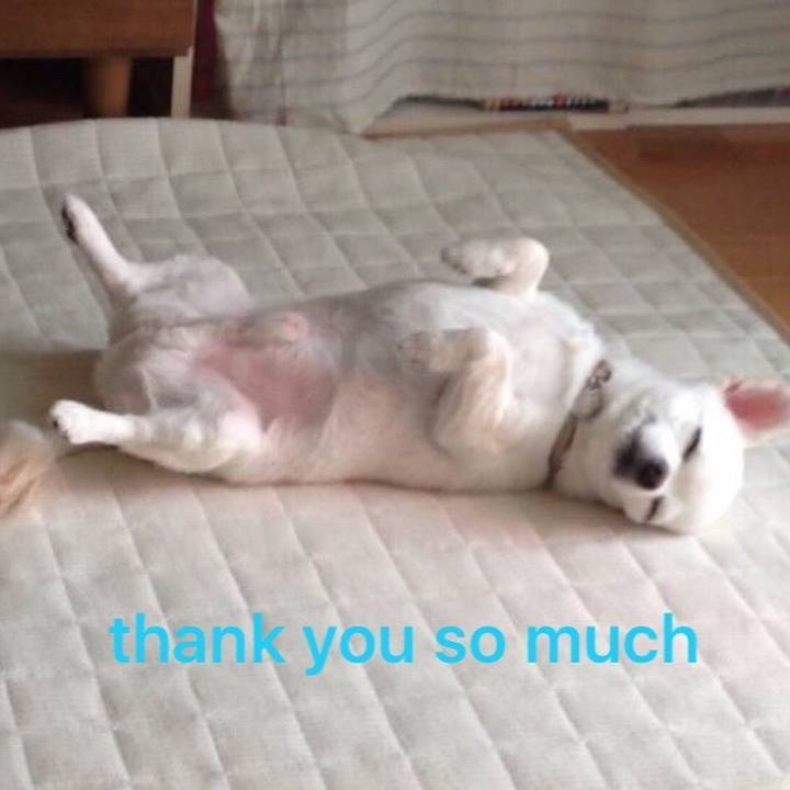 34b82db5 36a9 4357 962a d98e53e35774 1593721990852