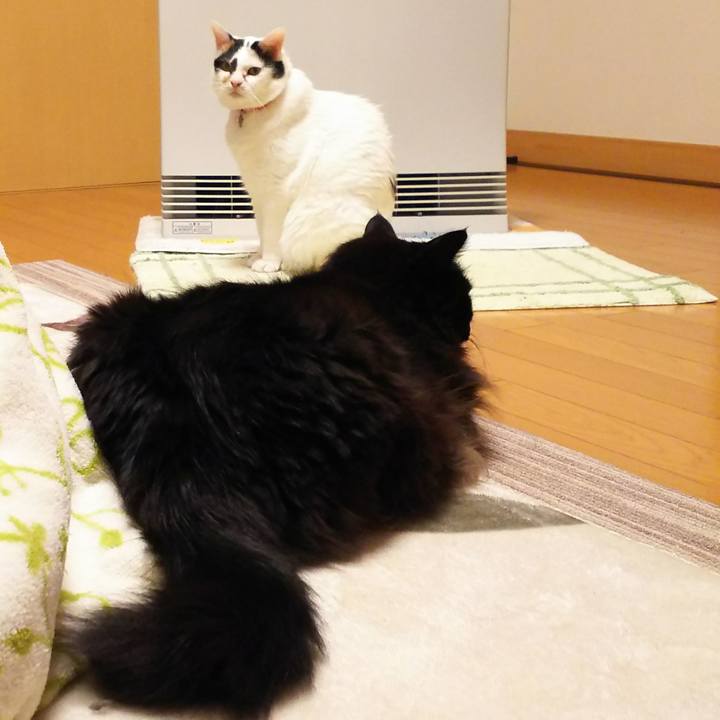 34b83ca7 ef0b 437c 9762 88b1d85f4b0a 1515414707948