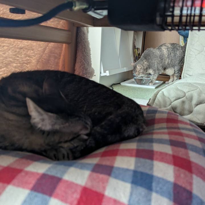 34b84ea7 1cc9 48df 99a3 eae9c0cc6819 1730368999240