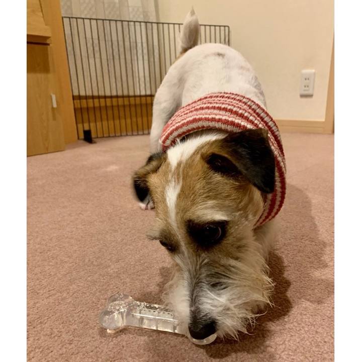 34b87232 a9d2 46df 97ba 20e639eb8763 1676211323254