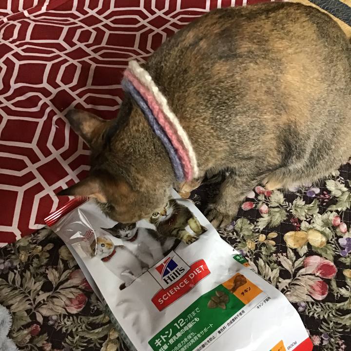 34b8affb 6065 4c6e a809 42111d29e37f 1624062771733