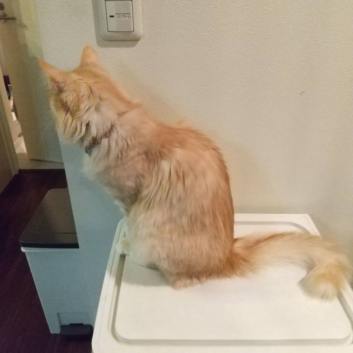 34b8b8f0 d5c0 4524 b172 ddee5554974f 1643924315220