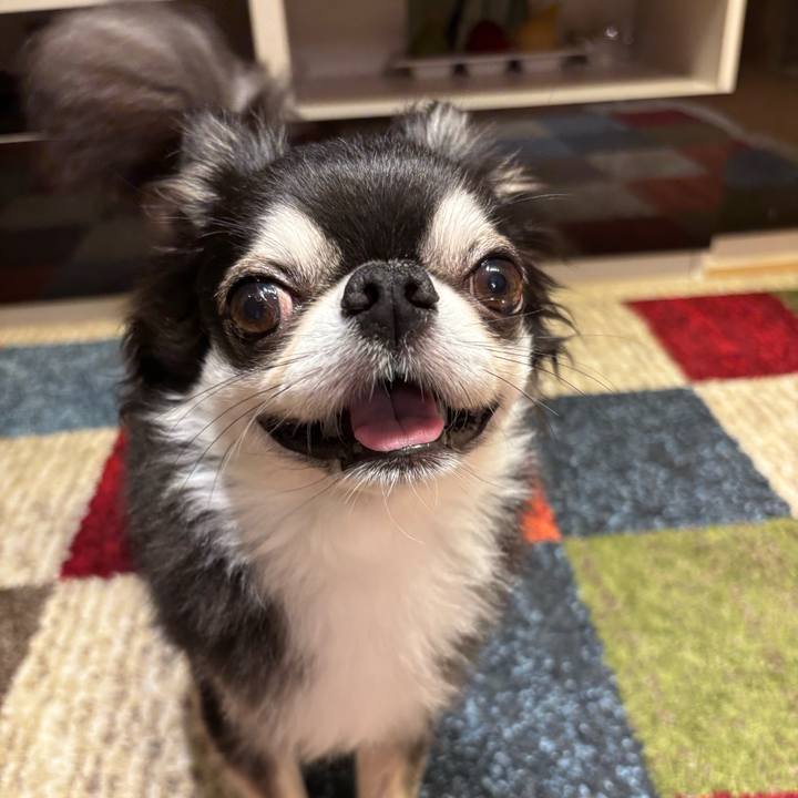 34b8bb12 3510 43f9 a36c 5a221db04998 1753029090893