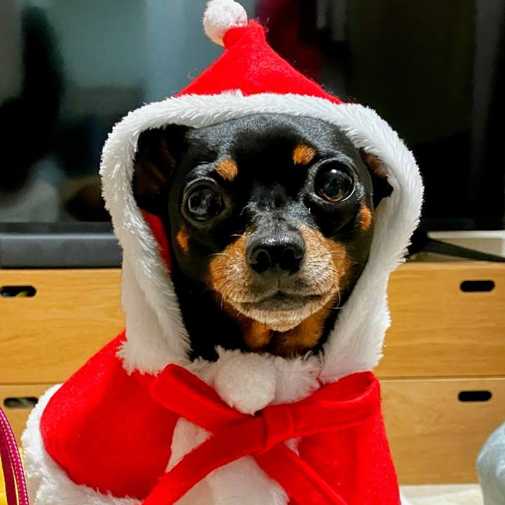 34b8c04c 95a5 4448 8405 b213f233f894 1735137061603