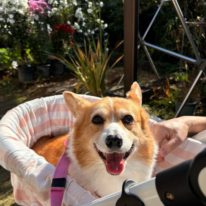 34b8cfe1 2ed9 4d73 93dd 4d9ca88f9687 1732163133494