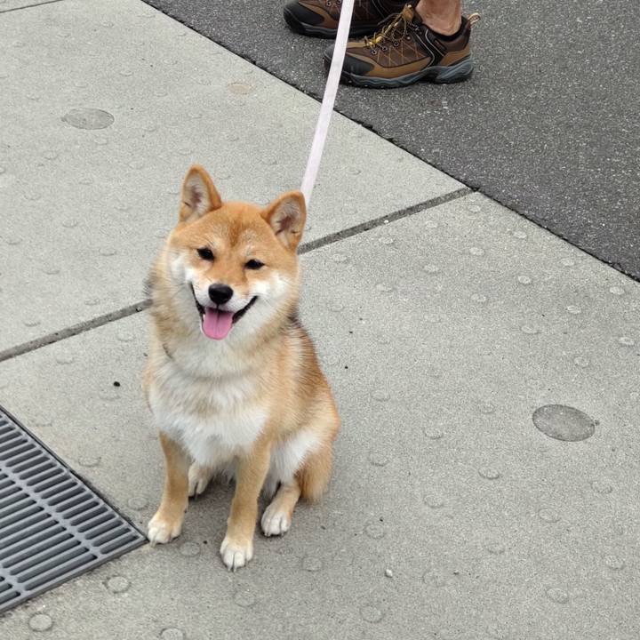 34b8de93 6cea 4c9e a63b 73f93b8ad350 1624088655680