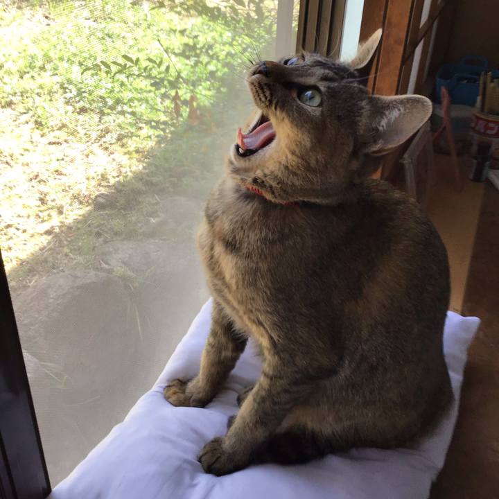 34b8f980 ec32 462b a182 fc88a4356b46 1584770811779