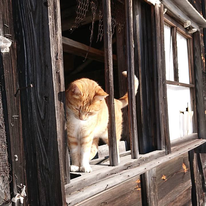 34b91c6d 6f18 482a 9414 fc9c3d7b25ea 1577581934499