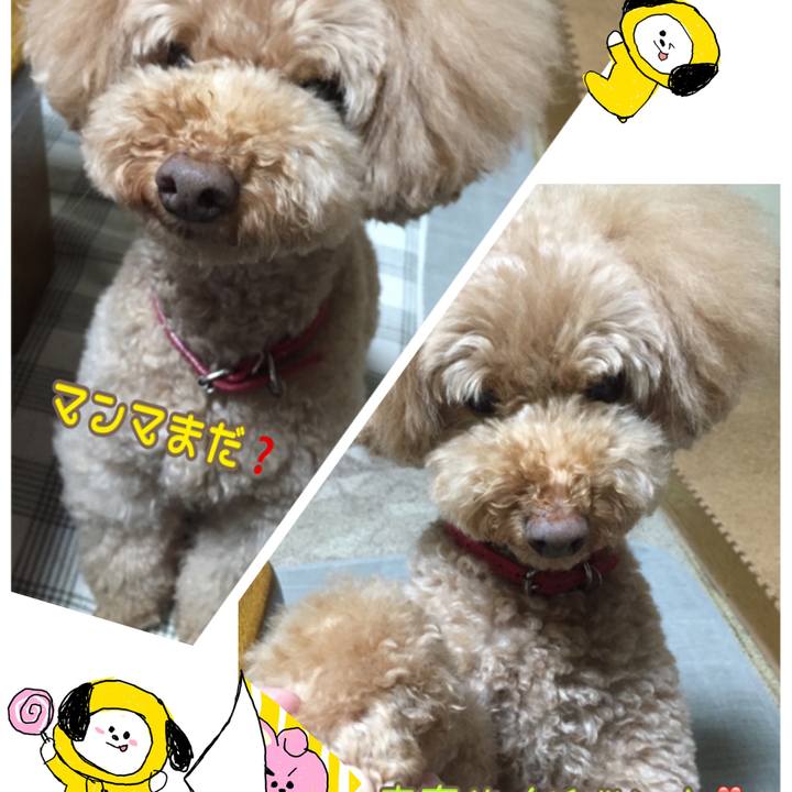 34b9350d b9fb 4fb6 88cf 72ac9c67af1d 1508666469433