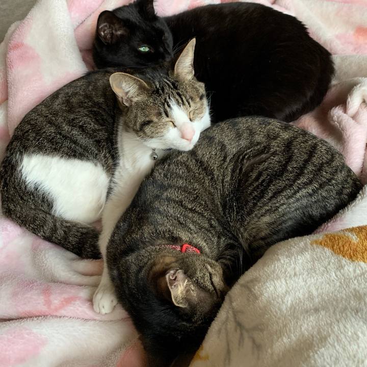 34b94483 2554 42df 85e5 9fb58cf6c772 1553595642157