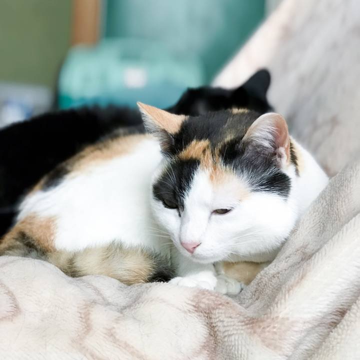 34b94497 3aa7 45d8 9c56 f73826c81964 1526484139875