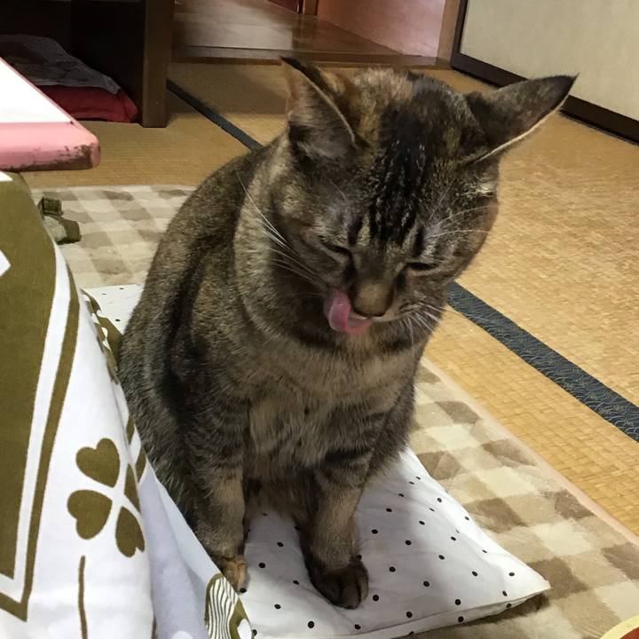 34b956ed 391a 499a b20c 3138e216f52e 1606436461519