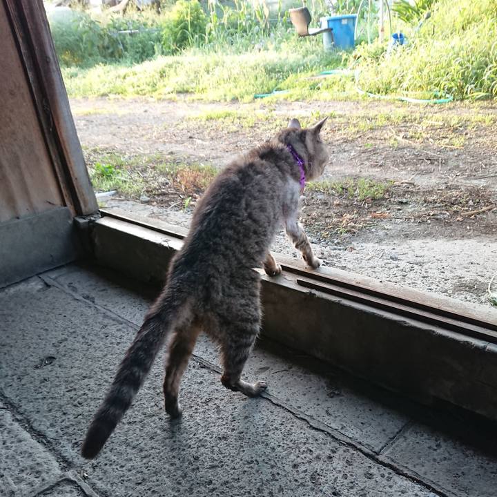 34b963a7 9104 45cc b1d9 047c06e6dadf 1597353914327