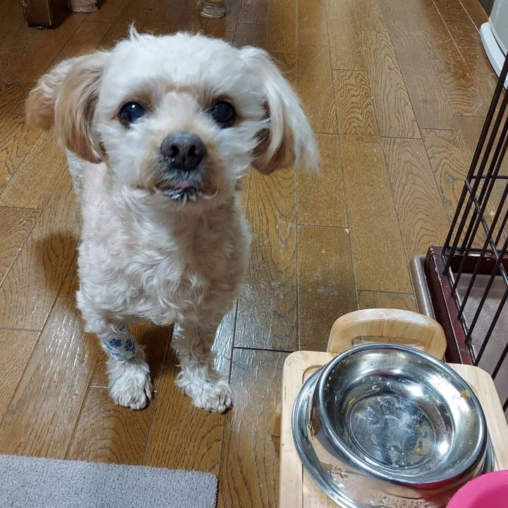 34b97480 8ec3 4bfe a29c cd8e33956f7c 1671610930294