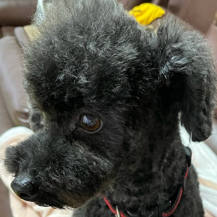 34b975ae 8cc7 4d4f 8c84 1be7fc99e3e2 1682085048779