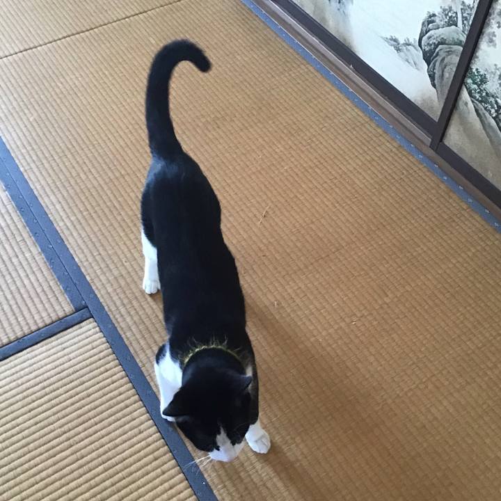 34b97a95 6d51 4be6 9b66 bbb8128f1b64 1649496645561