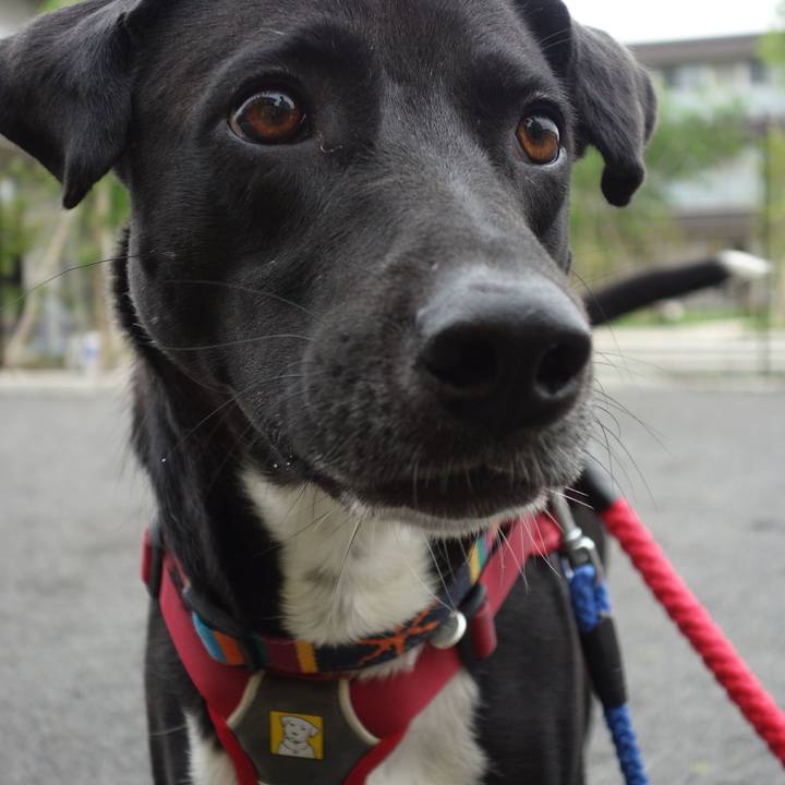 34b983e0 16d9 4c01 b42a 9d1f2bbd58c6 1588726568174