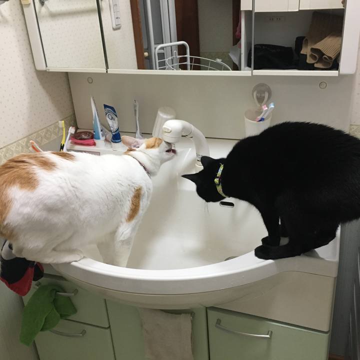 34b9879a d82d 4a2d 96af 3d180459caf5 1553699127036