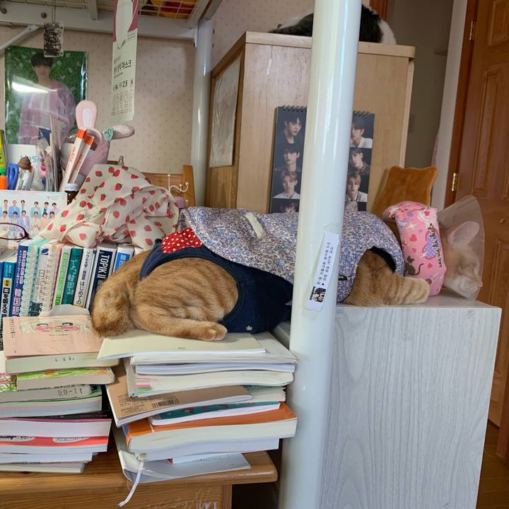 34b9a1e1 18ef 4616 a092 5a425479ece9 1621129638593