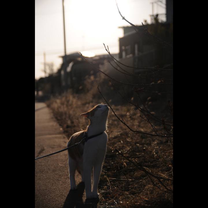 34ba22fe e44d 4165 ab01 27775b06ce2c 1520072808249